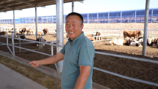 弘德村党支部书记任军向“筑梦鸦儿川”团队介绍村里畜牧业养殖情况